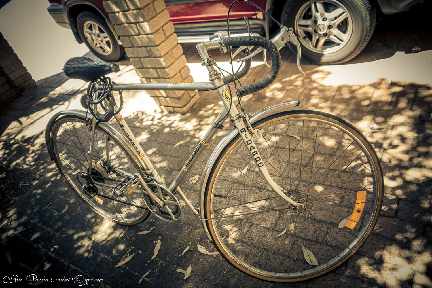 My Ricardo as my first project bicycle. 