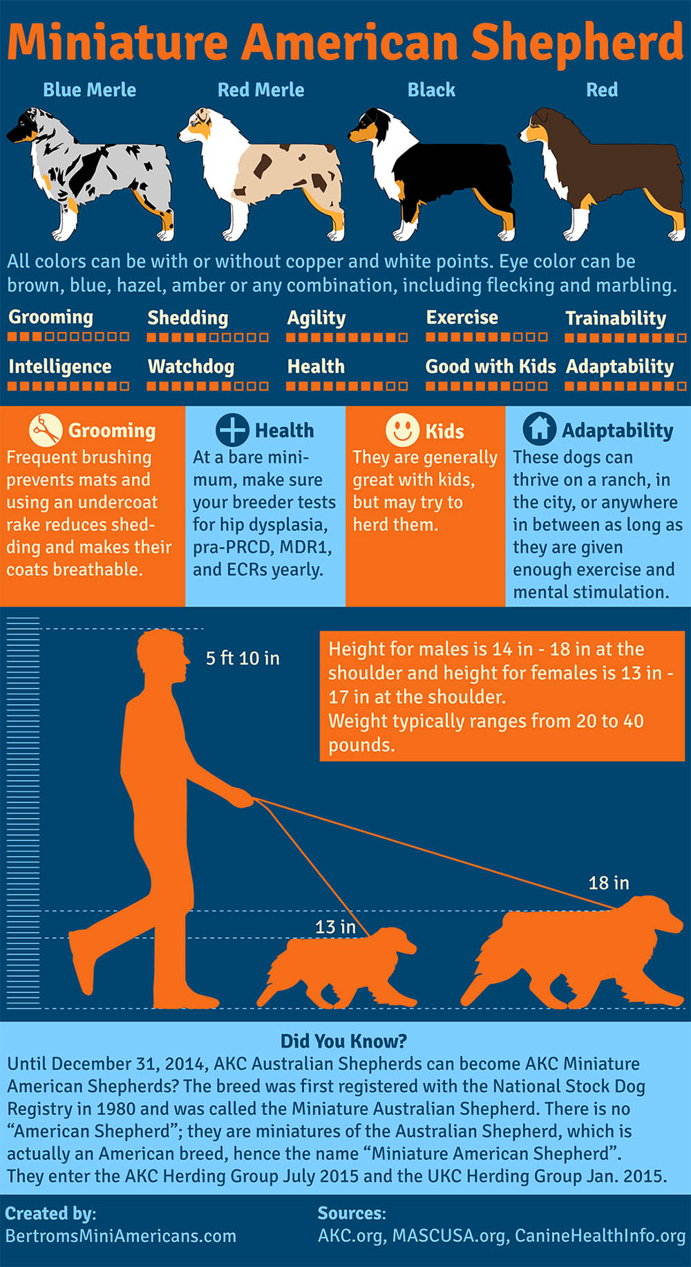 Aussie Puppy Growth Chart