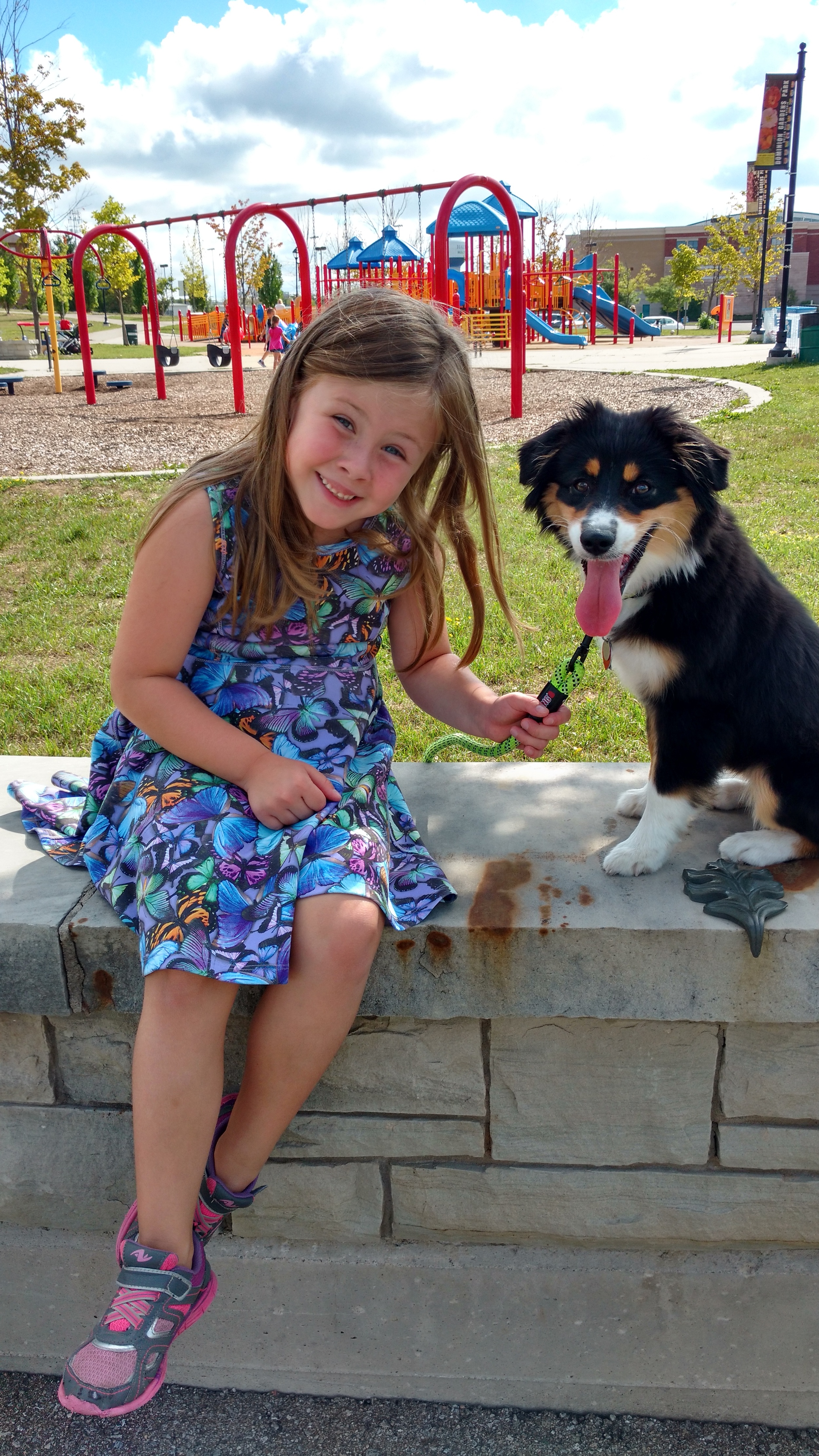 Kara and her puppy Marley having a great time together at the park. from Georgetown, On