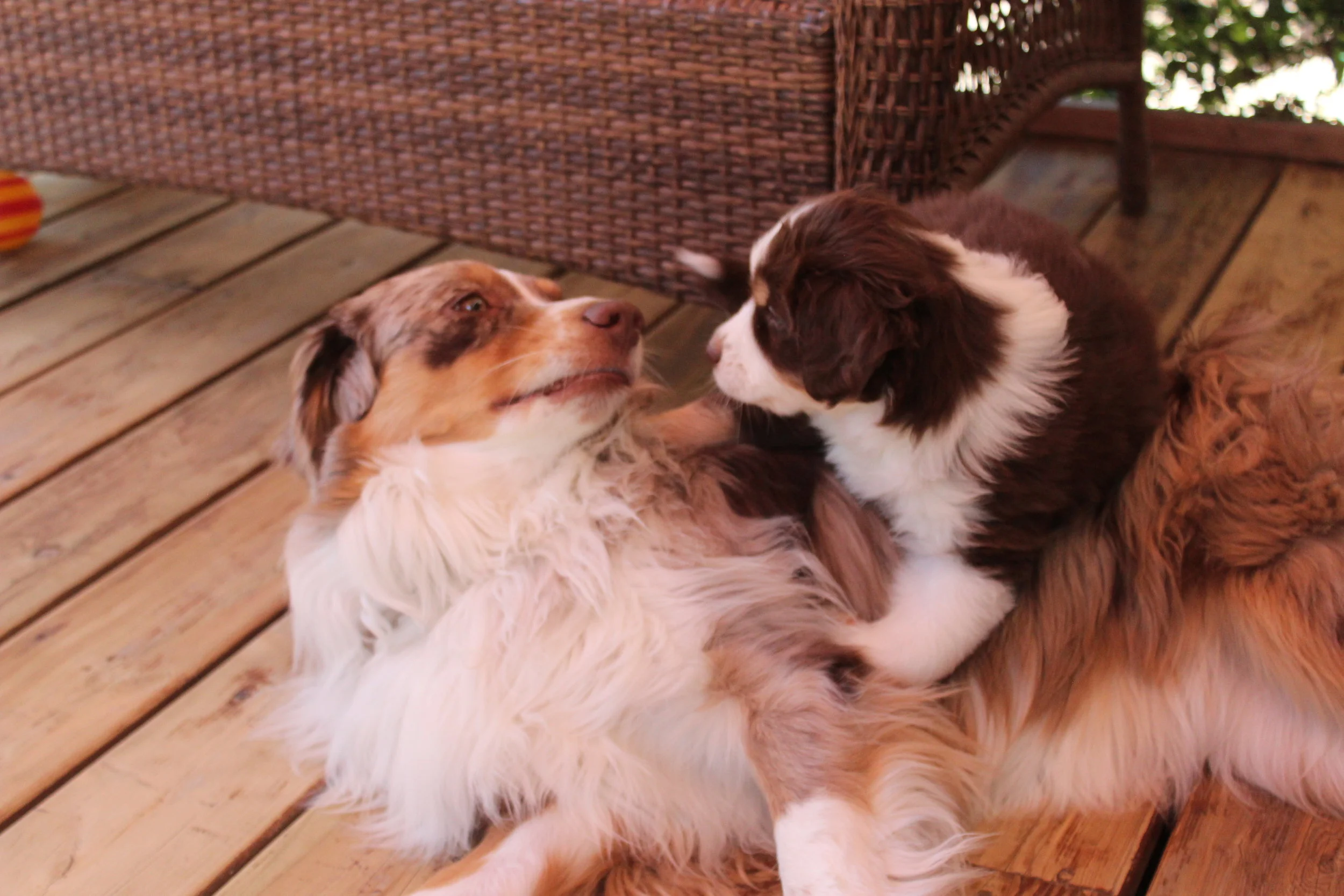  Zannah and her half brother Jay. 