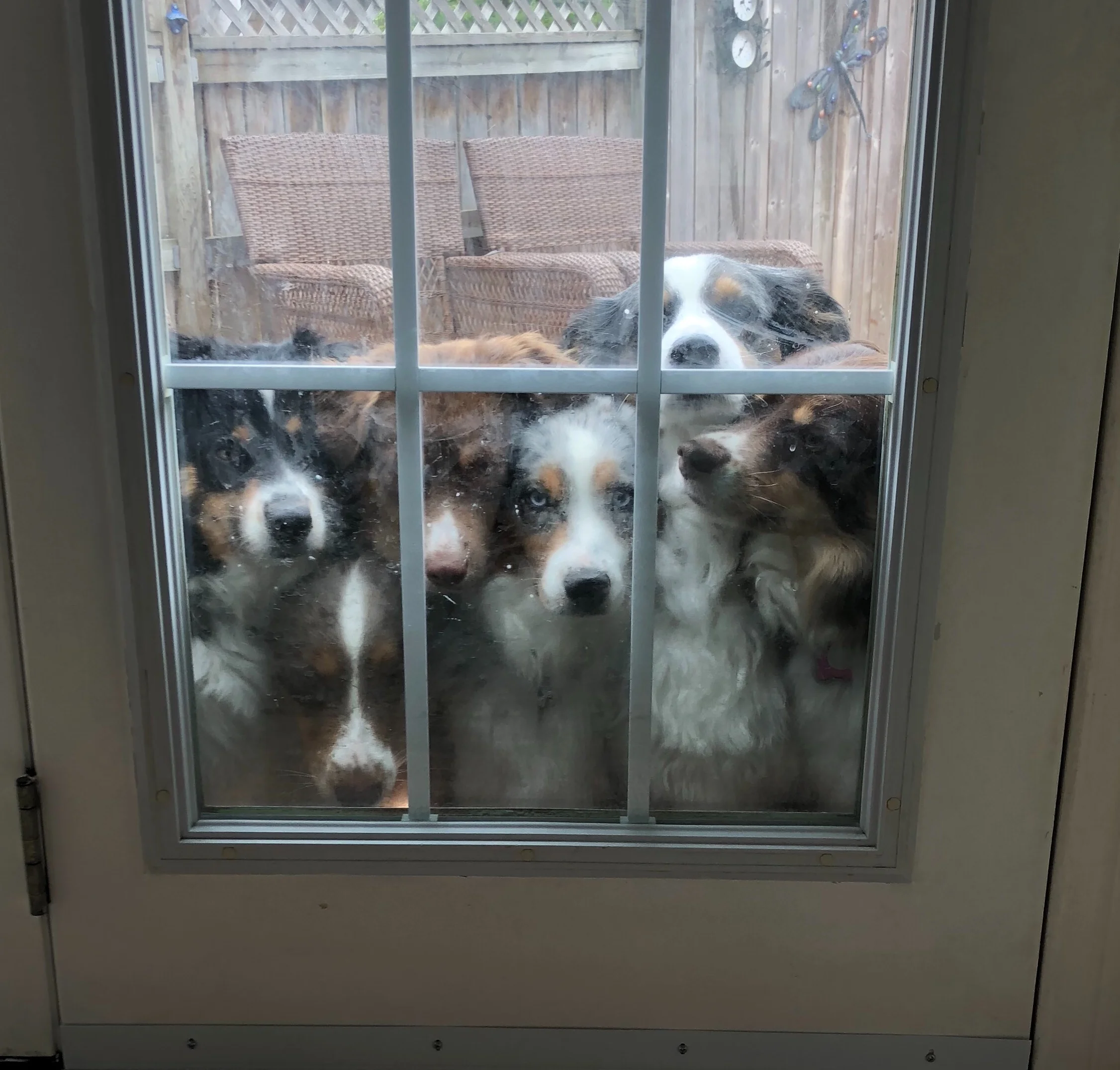 The Bennett Gang