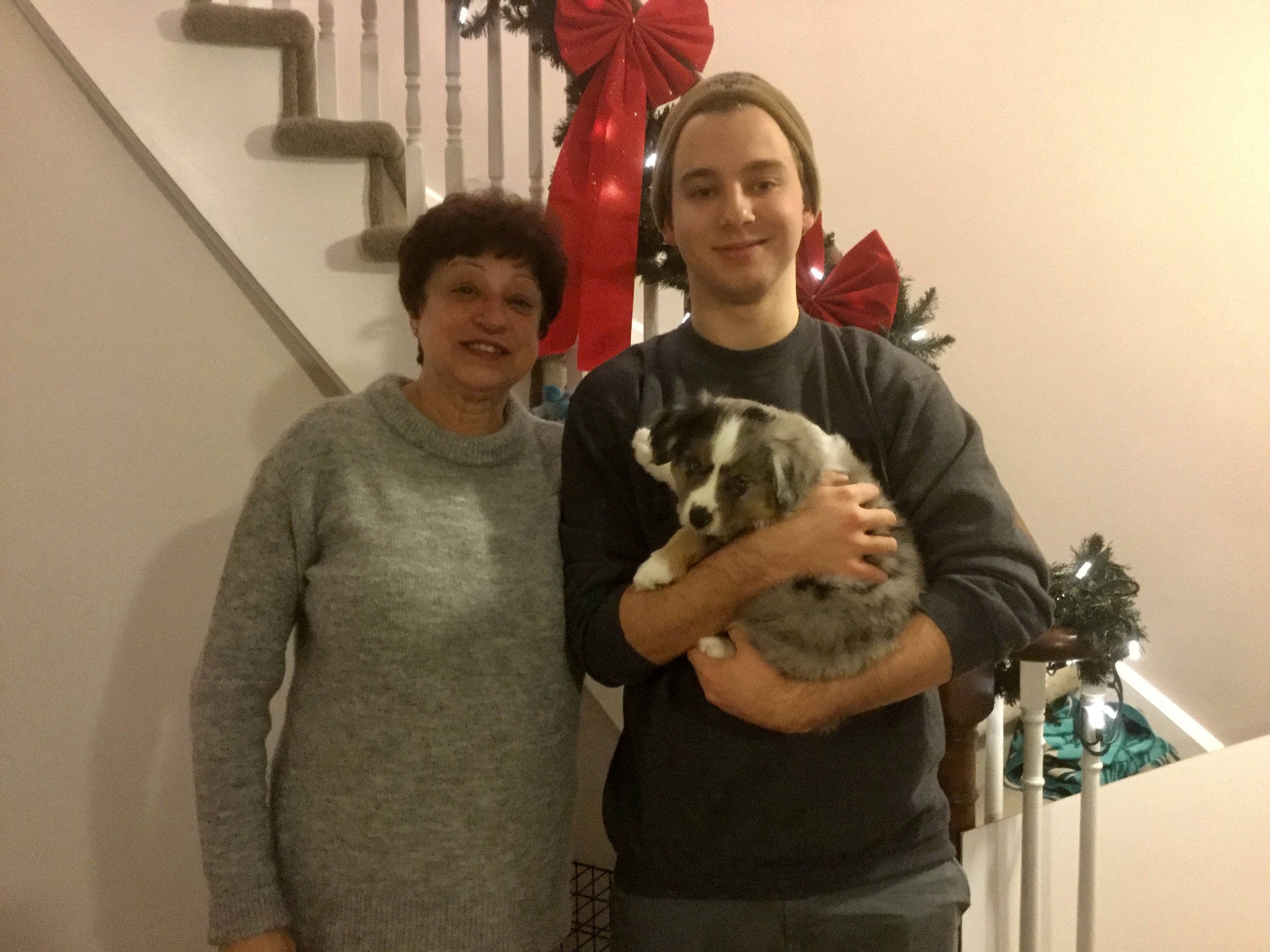 Trooper my co-own puppy has found a loving home with Pat & Family of Mississauga.