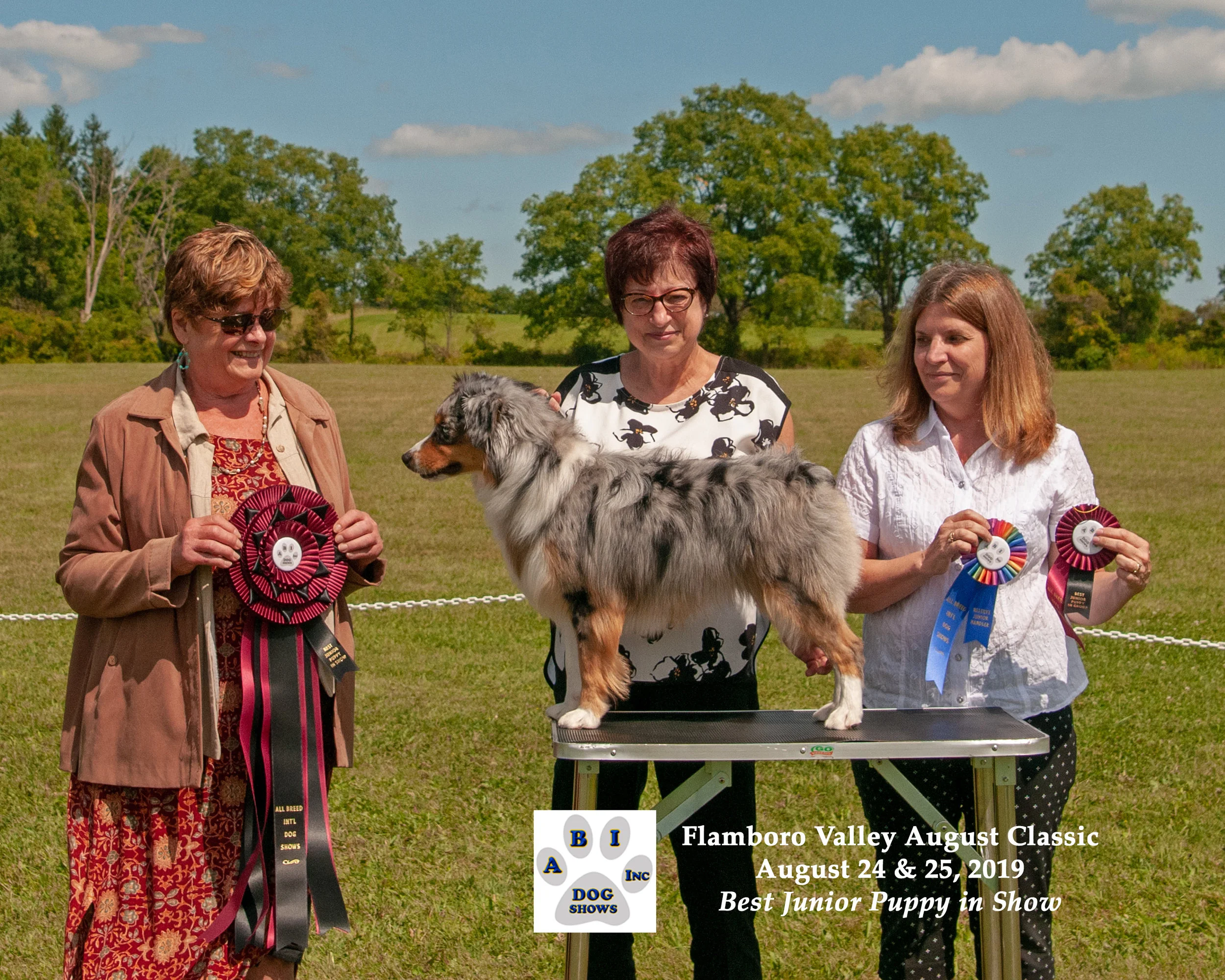 Congrats to Pat & Freddie my Co-Own on their 1st big win, so proud of you both. Best JR Puppy In Show, Group 3 win, & Best JR Puppy In Group. Also did well in first show RBJRPIS & BJRPIG. He also did well in the Sunday show, well done.