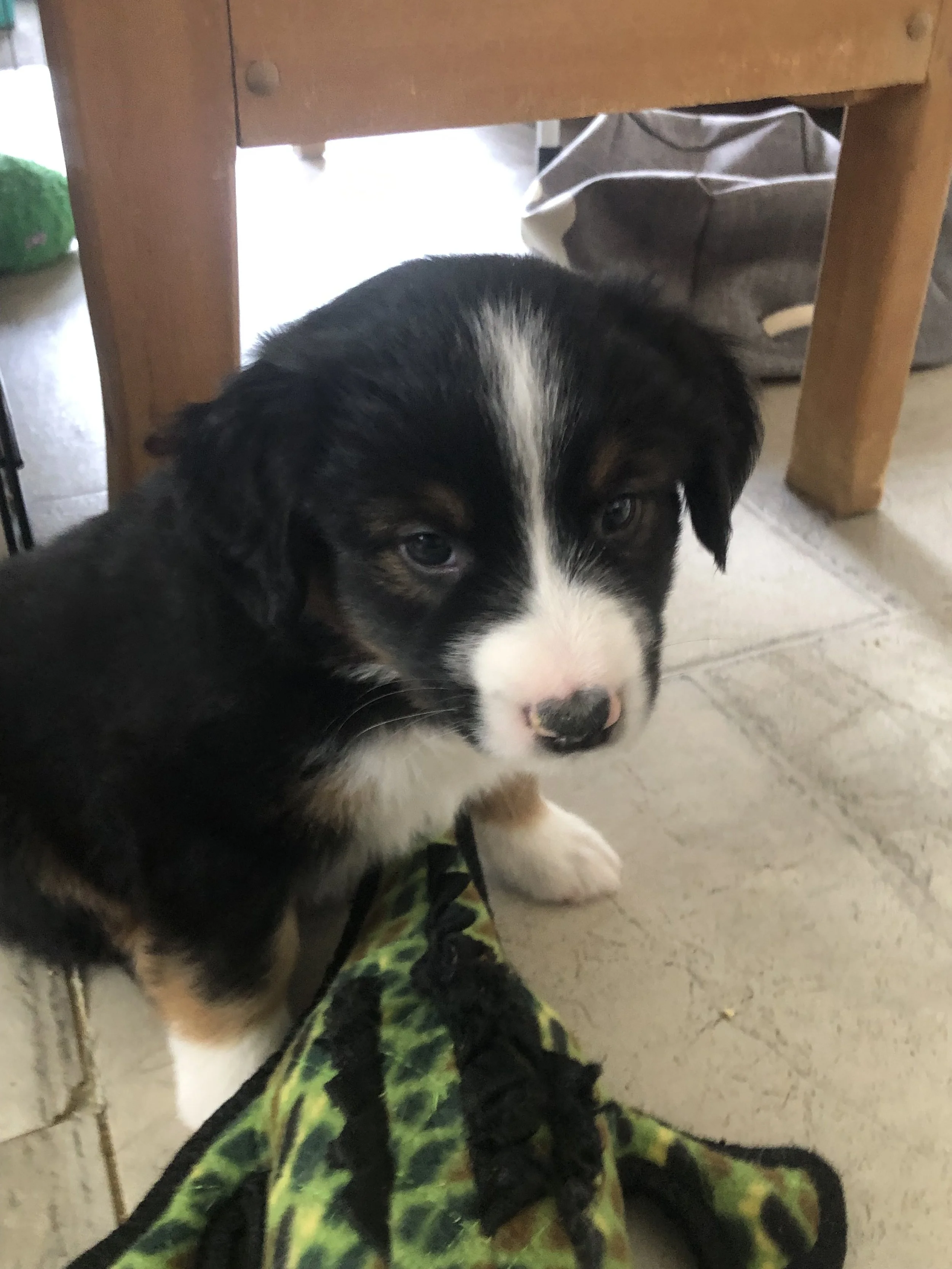 Finnegan- BTM-available