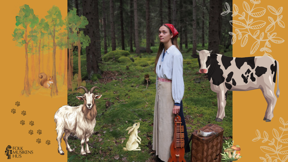 Folkmusikens hus, Rättvik