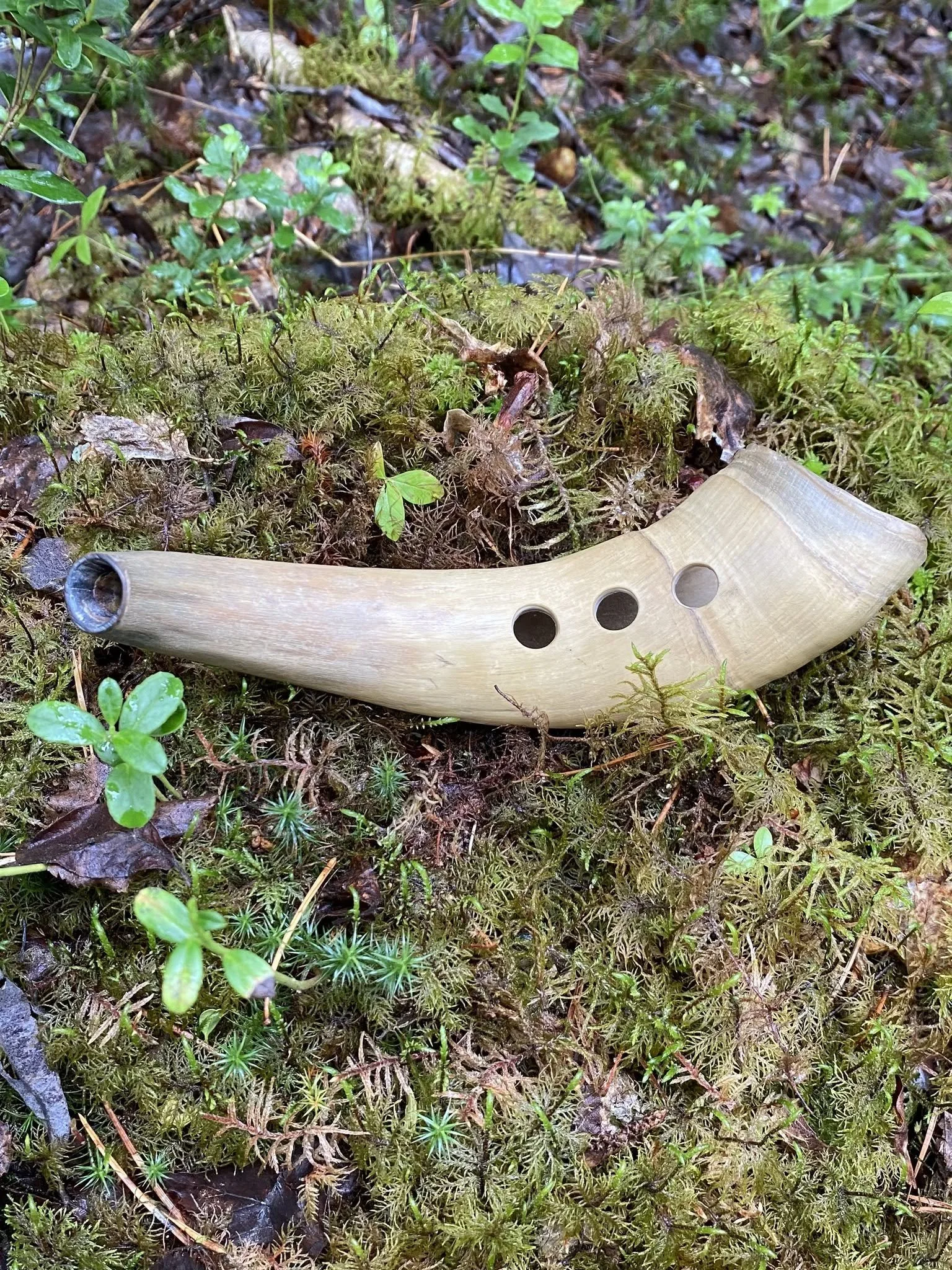Vallmusik kring Stångtjärn