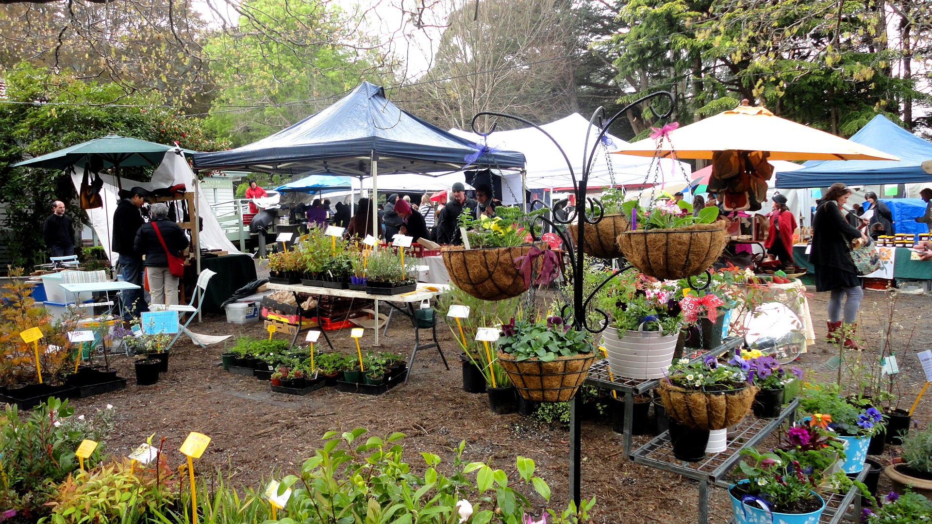 dandenong-local-events.jpg
