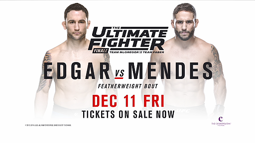 The Ultimate Fighter 22 Finale - Resultater