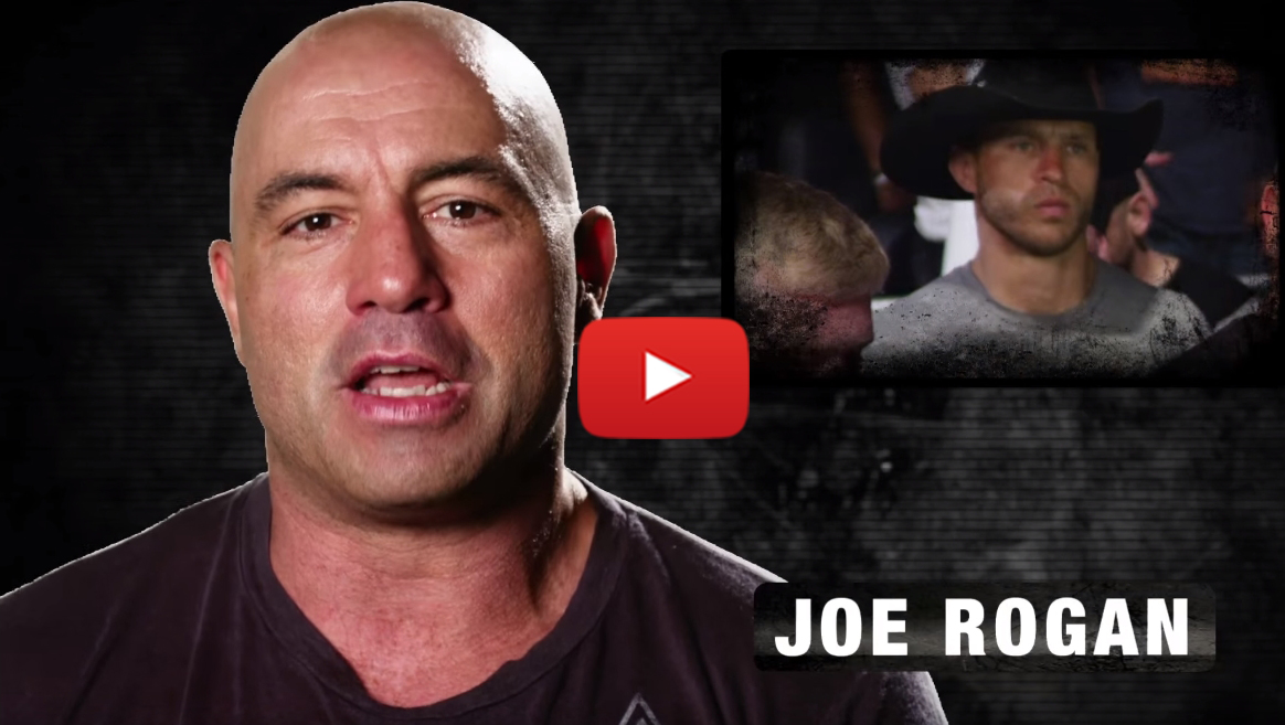 Fight Night Orlando: Donald Cerrone Ultimate 8