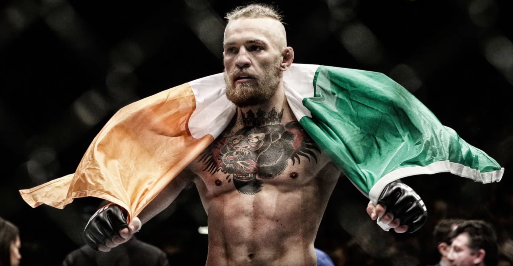 UFC 196: Open Workout Highlights