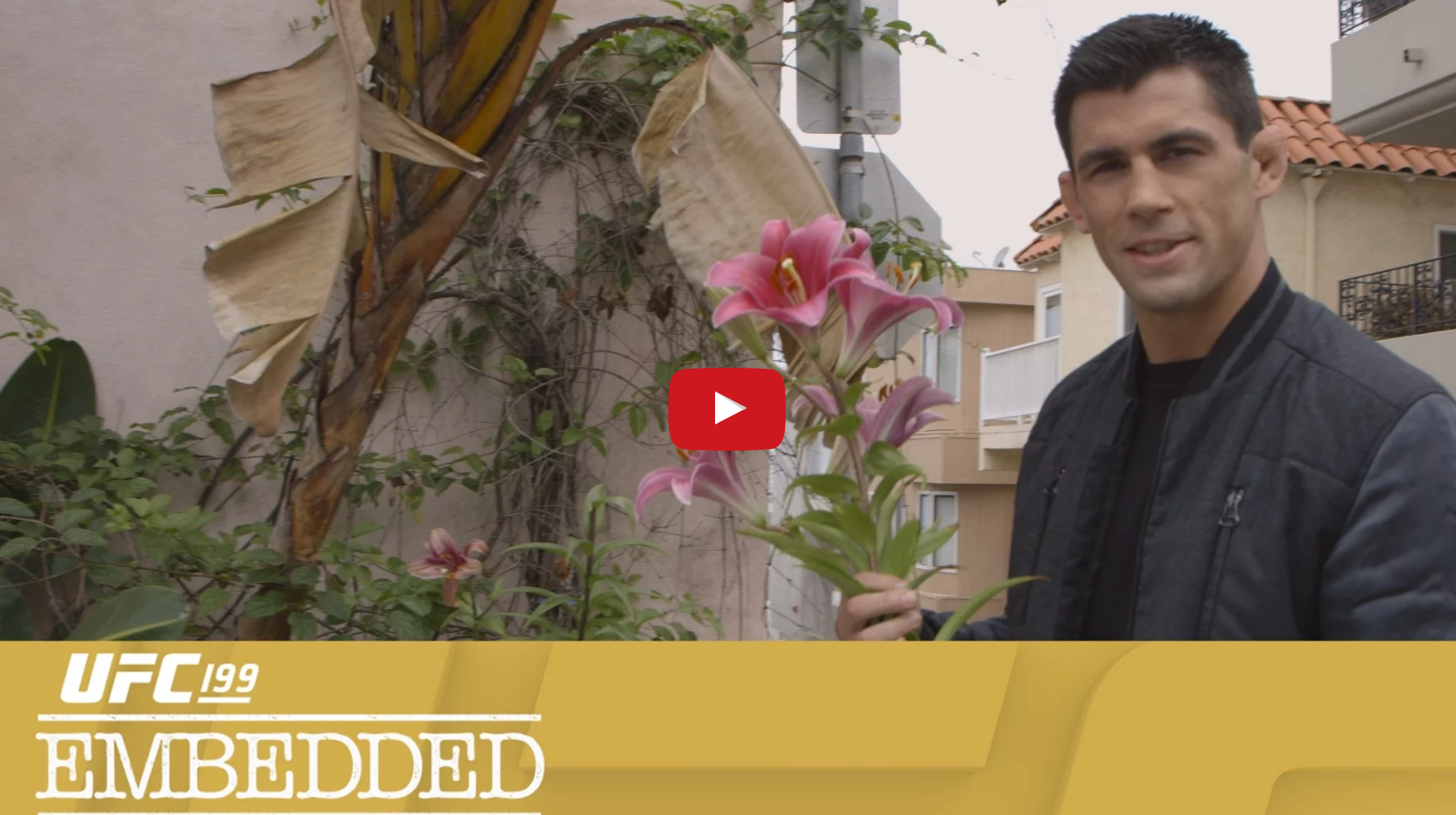 UFC 199 Embedded: Vlog Series - Episode 5