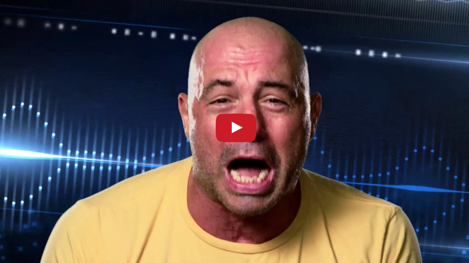 UFC 205: Rogan Riffs