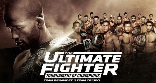 The Ultimate Fighter 24 Finale - Resultater