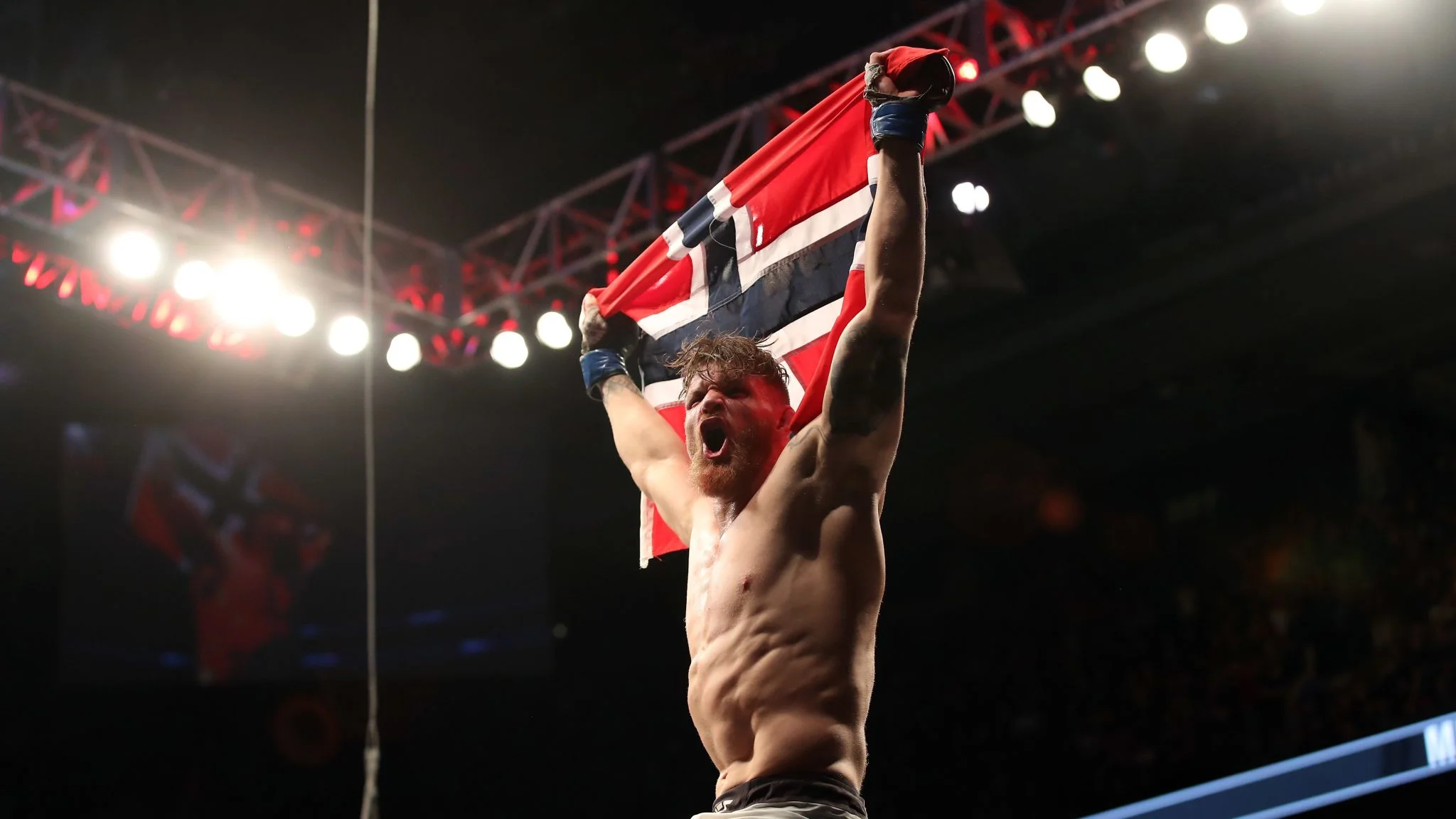 Så mye tjente Emil Meek på UFC-kampen