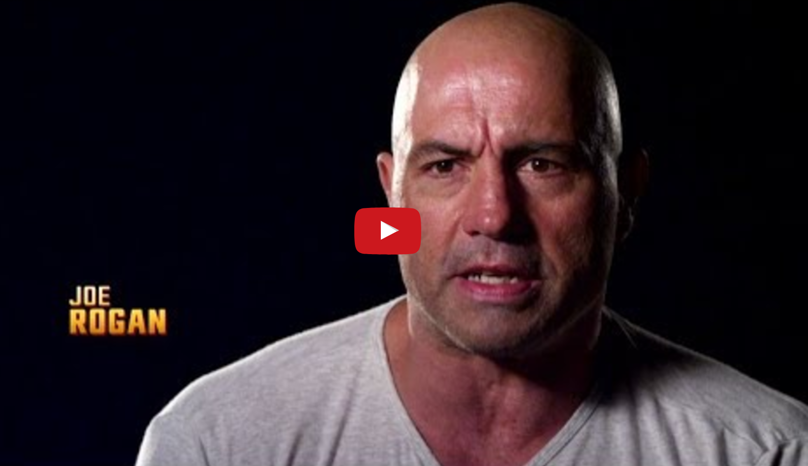 Fight Night Stockholm: Gustafsson vs Teixeira - Joe Rogan Preview