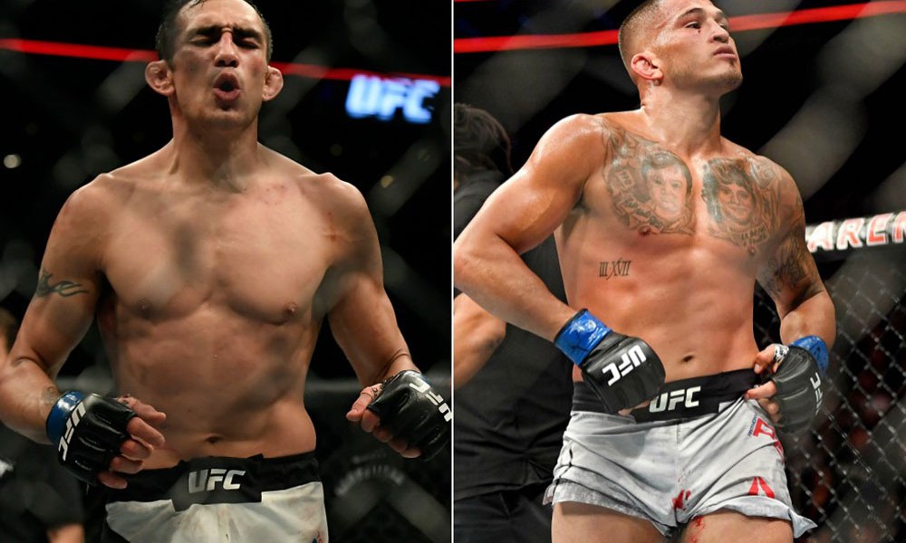 Sikre kilder: Tony Ferguson møter Anthony Pettis under UFC 229