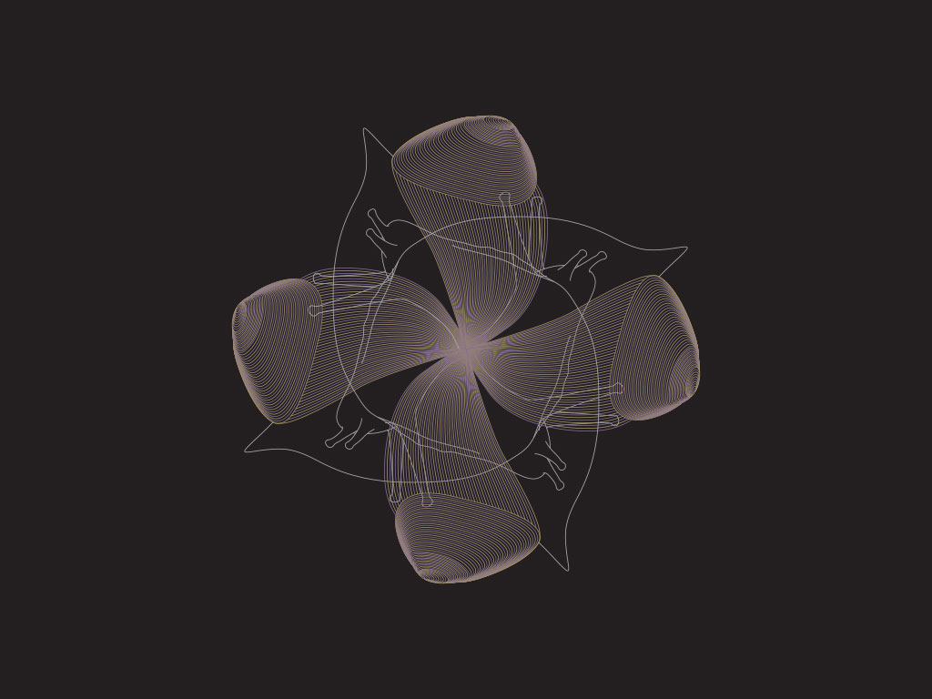 portfolio_starblack_night2_med.jpg