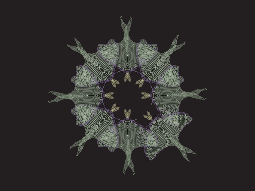 portfolio_starblack_night3_med.jpg
