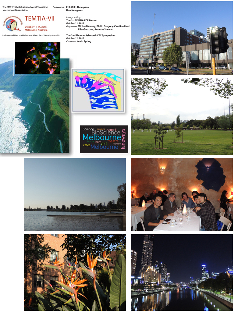 2015.10.19.001.jpeg
