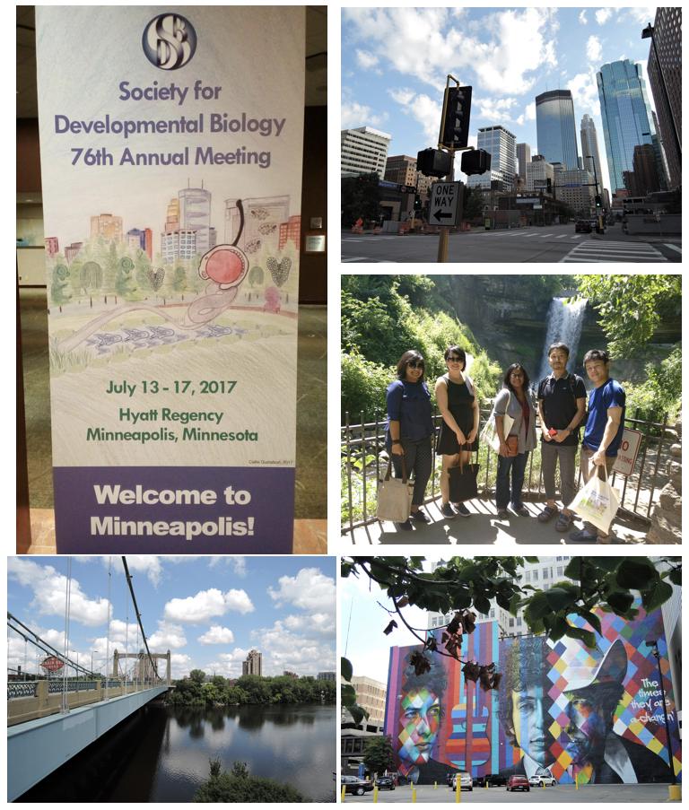 SDB 2017 MN.001.jpeg