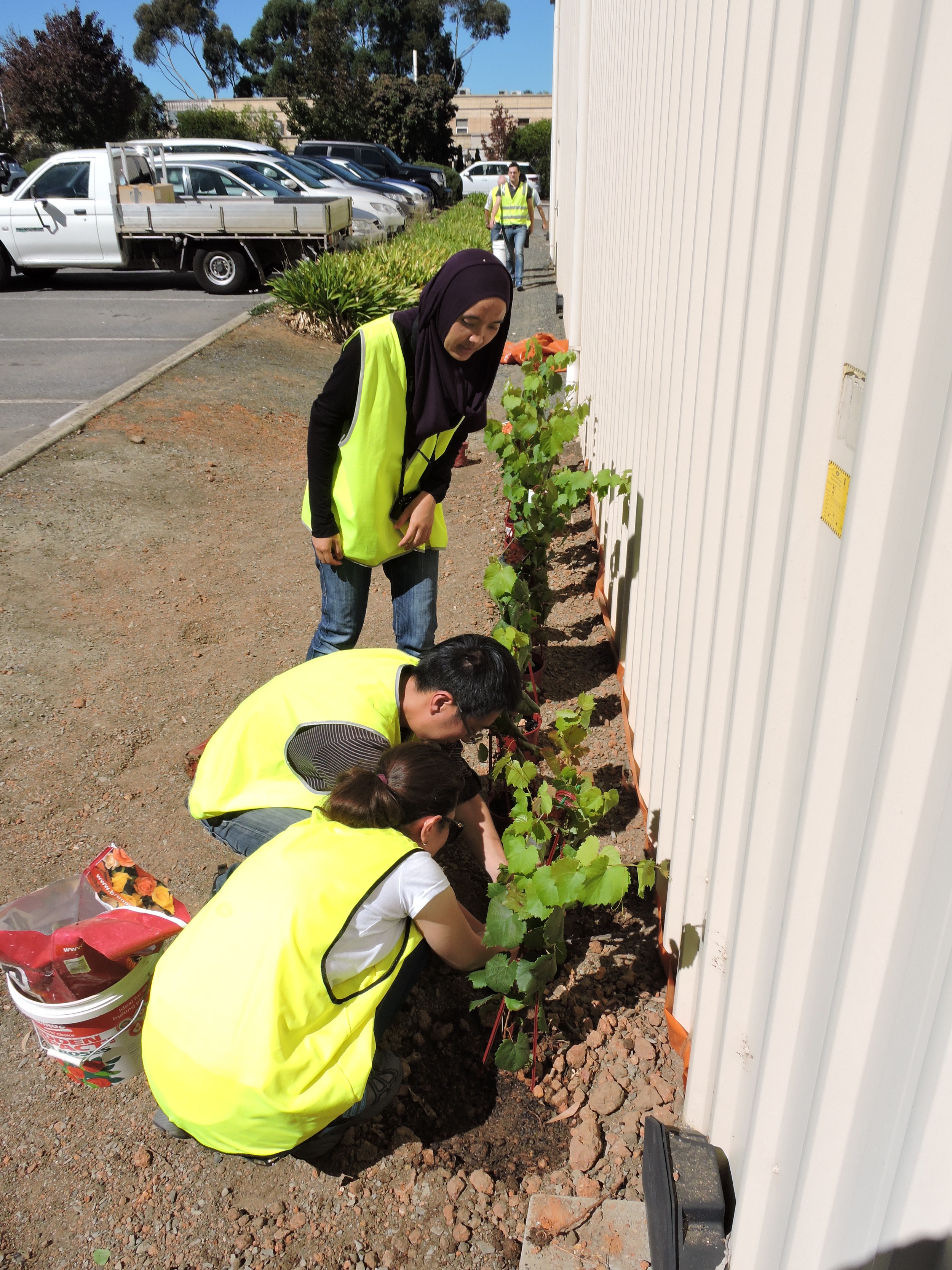 20160321_JQF04_urban planting (38).JPG