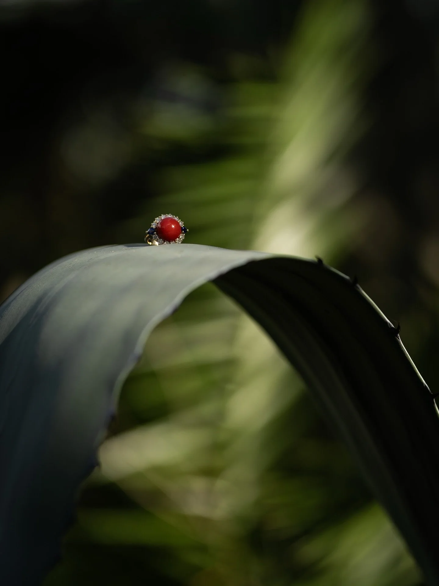 Questo non &egrave; uno still life. &Egrave; il ritratto di un anello.

&Egrave; il modo in cui guardo e fotografo anche ci&ograve; che non &egrave; umano: con la stessa cura, lo stesso tempo e la stessa attenzione che dedico alle persone, soprattutt