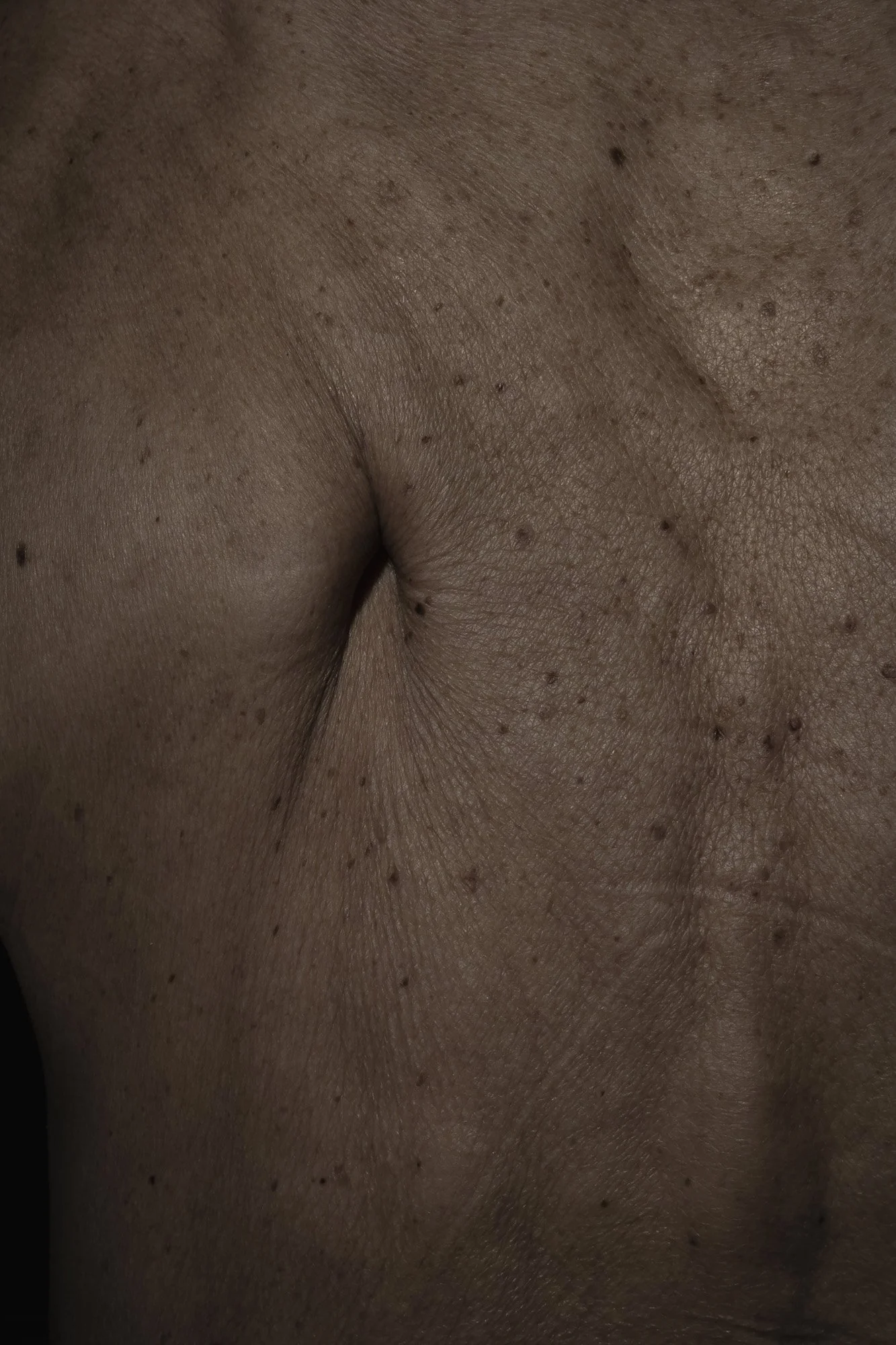 Bernacca_lasciar_crescere_lerba_007 (1).jpg