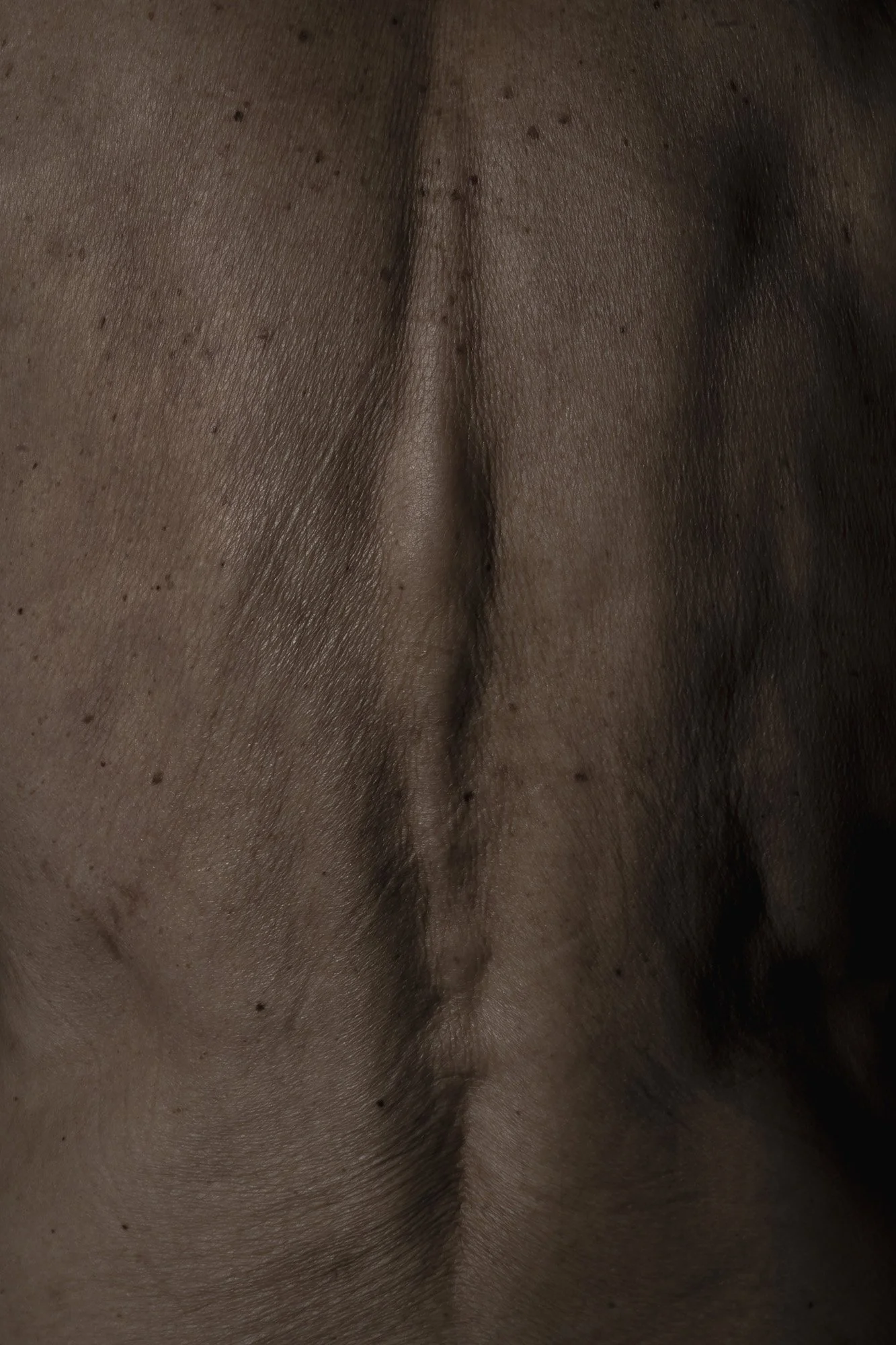 Bernacca_lasciar_crescere_lerba_010 (1).jpg