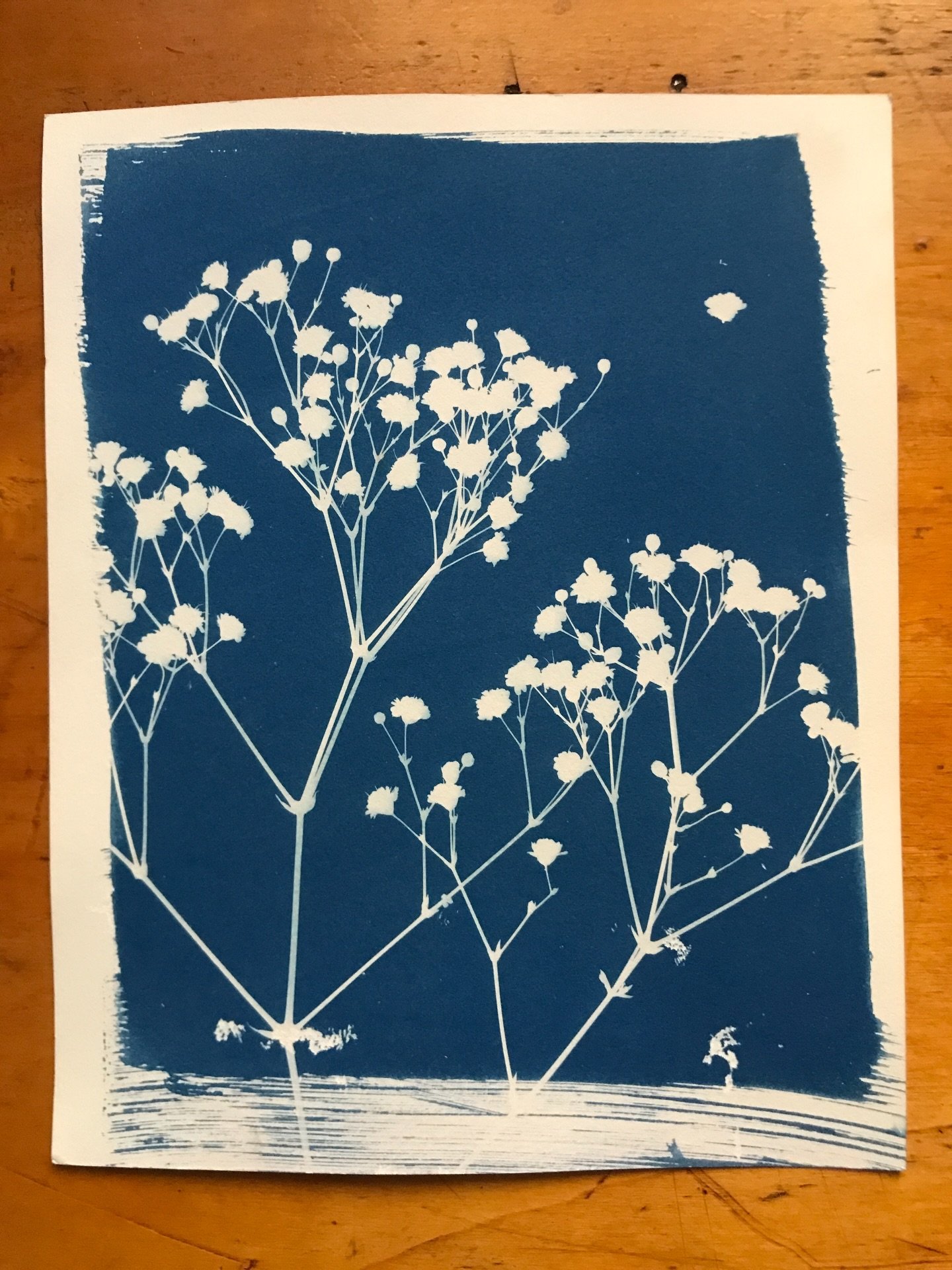 &ldquo;Io sono una cianotipia, sono una piccola magia, fatta di luce, tempo, acqua ed elementi difficili da pronunciare come il ferricianuro di potassio e il citrato ferrino di ammoniacale, il tutto condito di un p&ograve; di immaginazione e tanto am