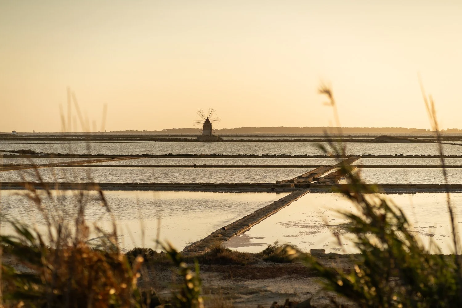 Saline di Marsala 
Destination wedding photographer based in Sicily

#weddingsicily #destinationwedding #weddingreportage #reportagedimatrimonio #weddingmarsala #marsala #trapani #isoleegadi