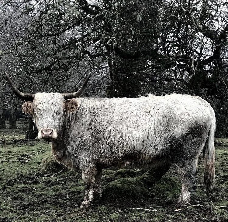 The Eythin Podcast Ep.7