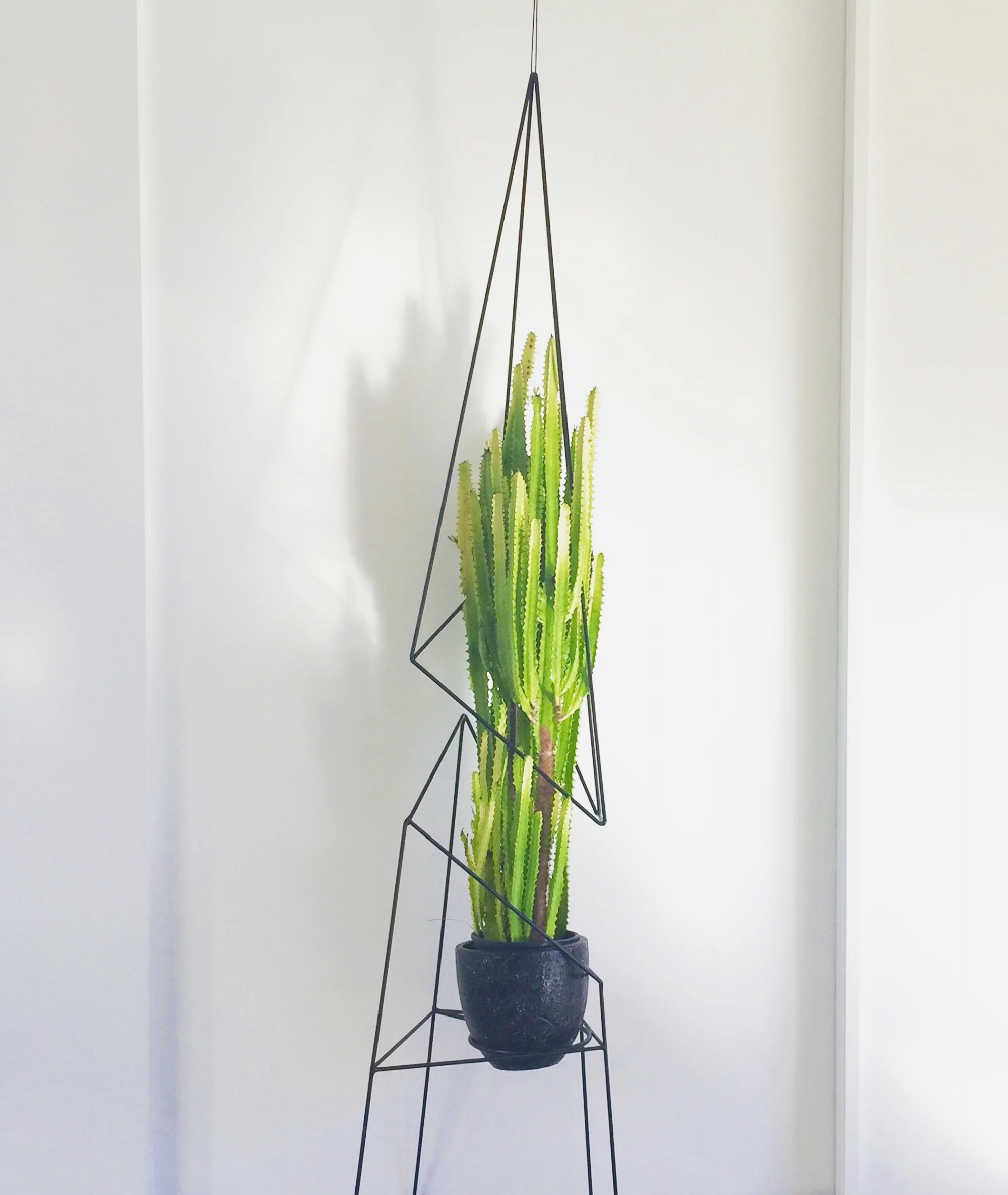 Rhomboid_stand & suspended.jpeg