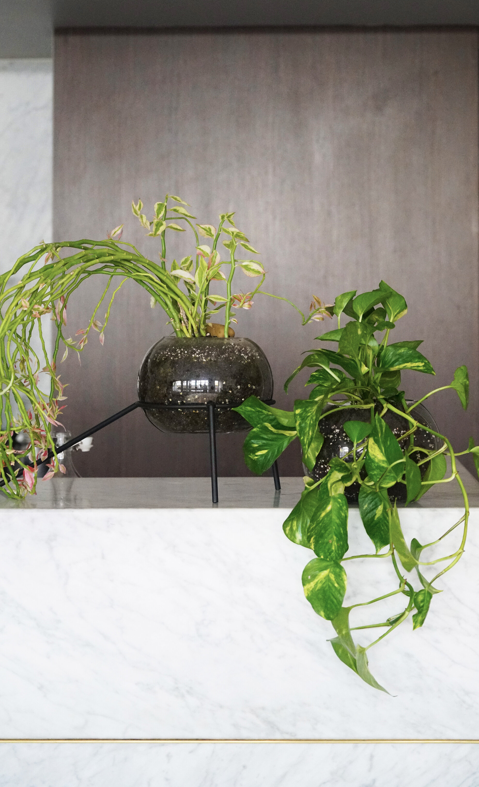 Stirling_function room_2 copy.JPG