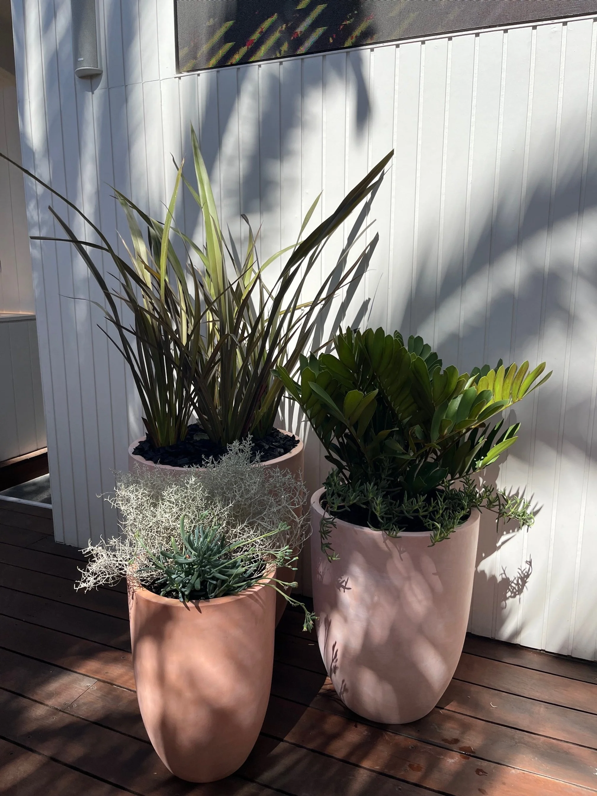 Website_seaton_beergarden 4.jpg