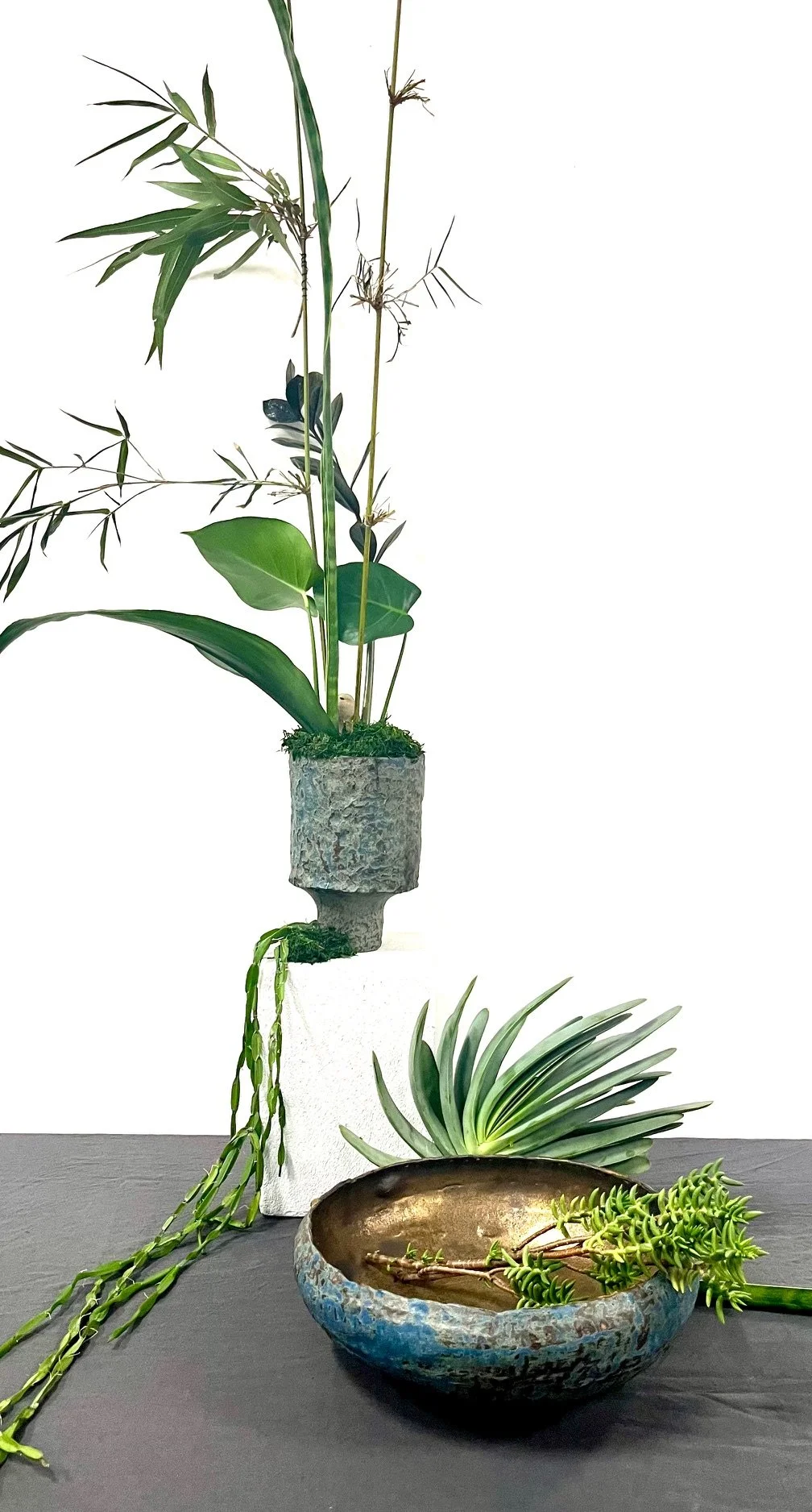 Website_botanicals&form 1.jpg