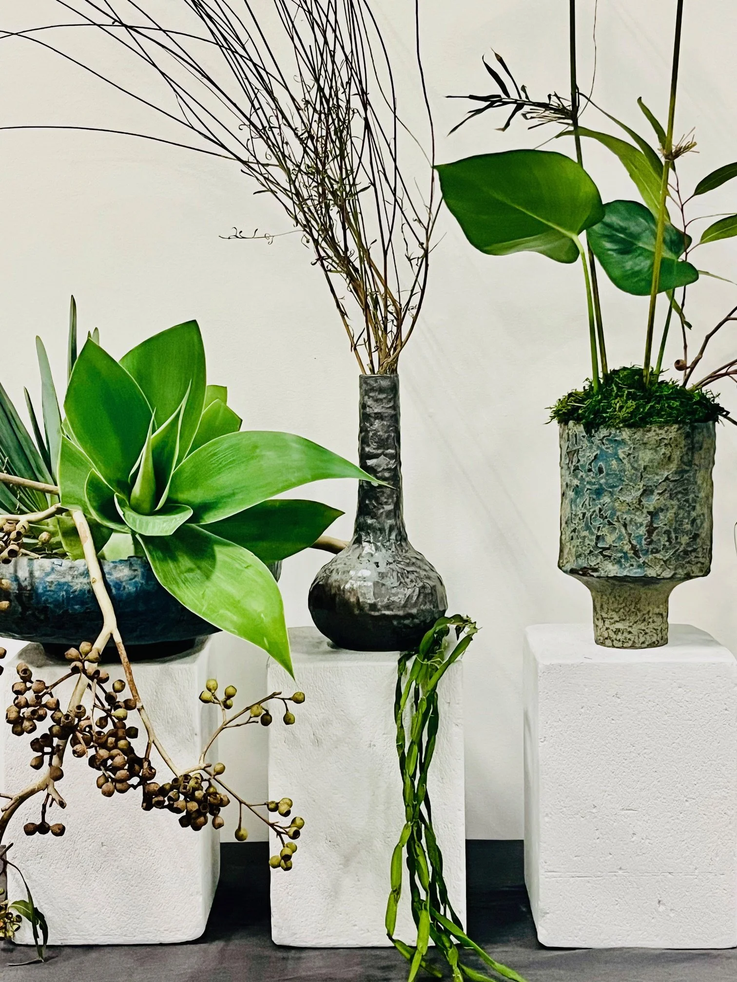 Website_botanicals&form 2.jpg