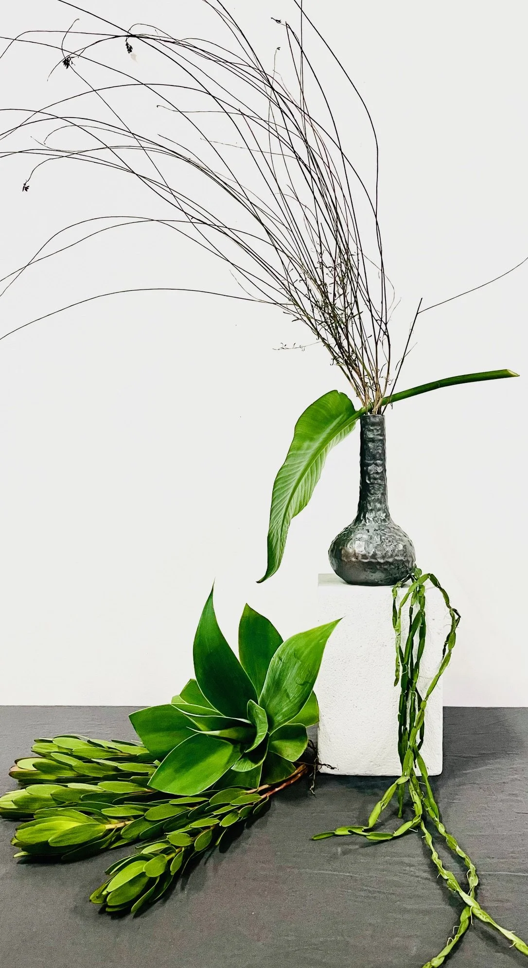 Website_botanicals&form 3.jpg