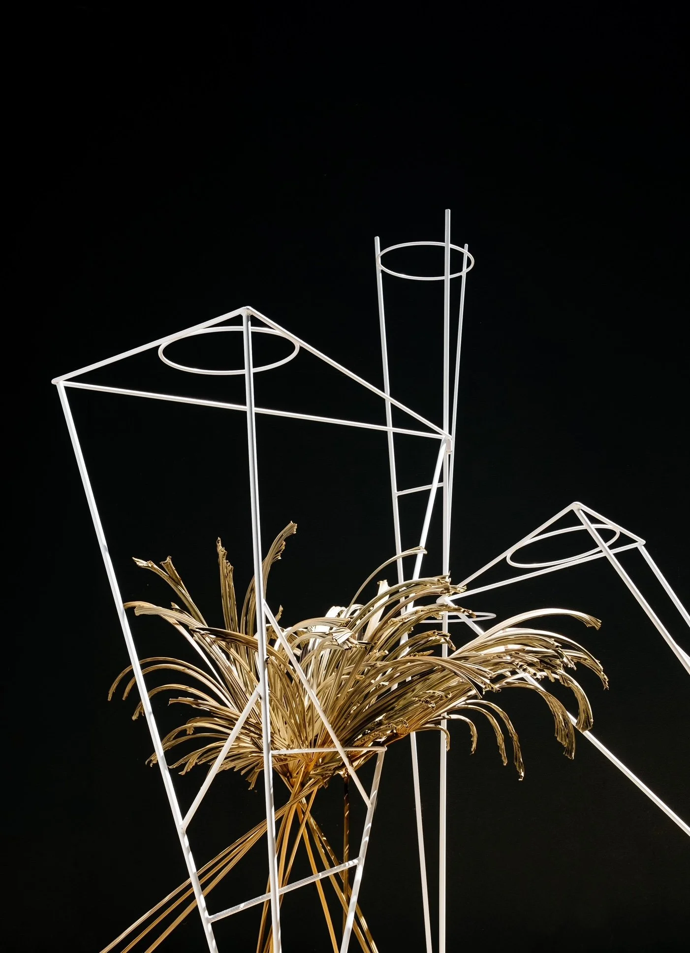 Website_form&fronds 2.JPG