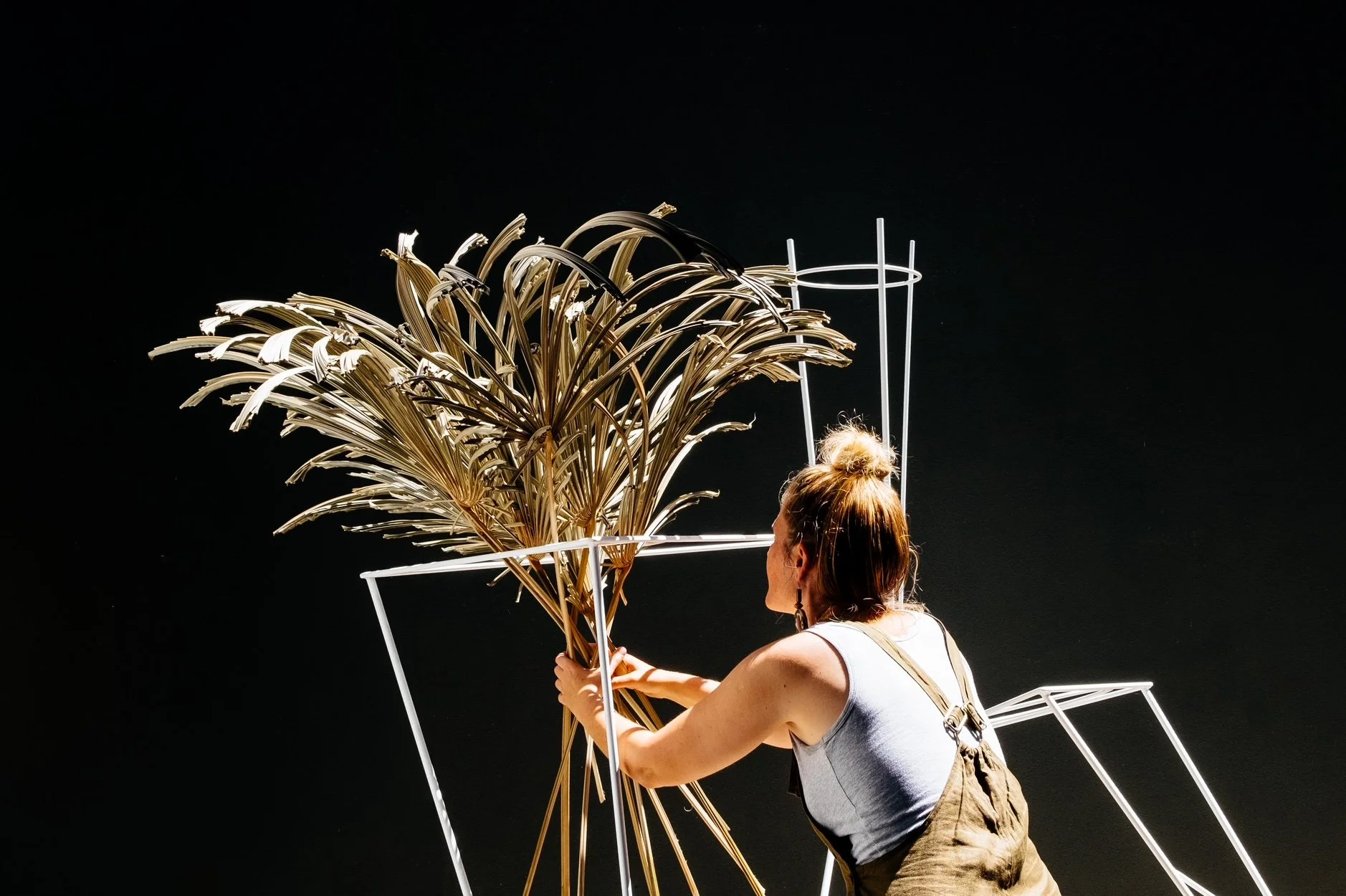 Website_form&fronds 3.JPG