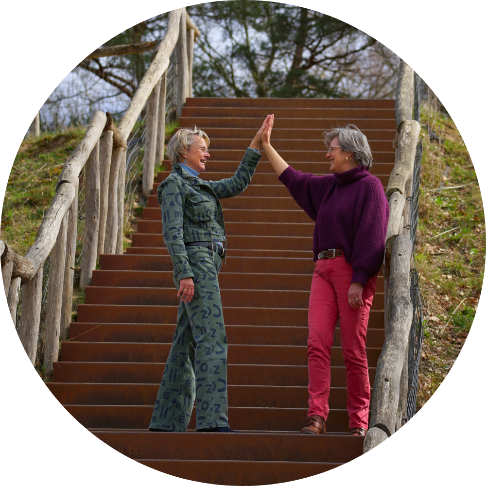 SDO - High five - rond(1).png