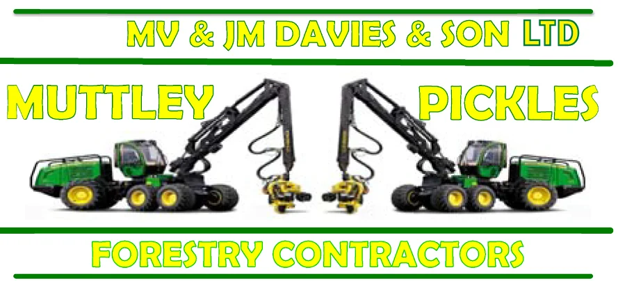 MV & JM DAVIES & SON