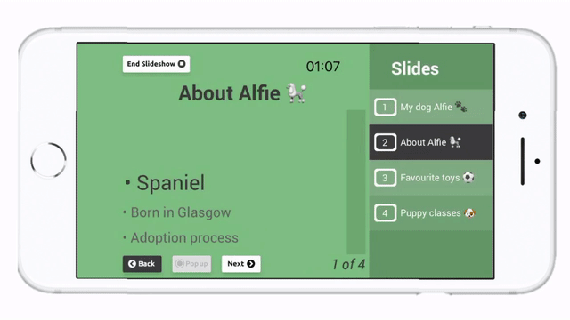 GIF: Present Pal presentation mode