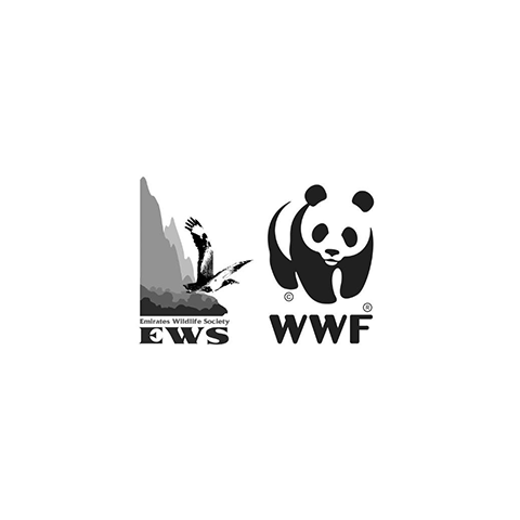 EWS WWF.png