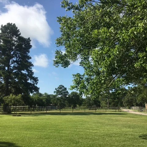 Retreat on Nia Week July