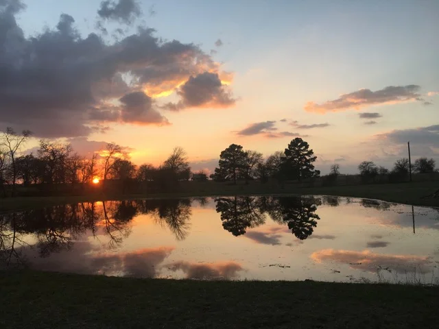 Retreat on Nia Week November