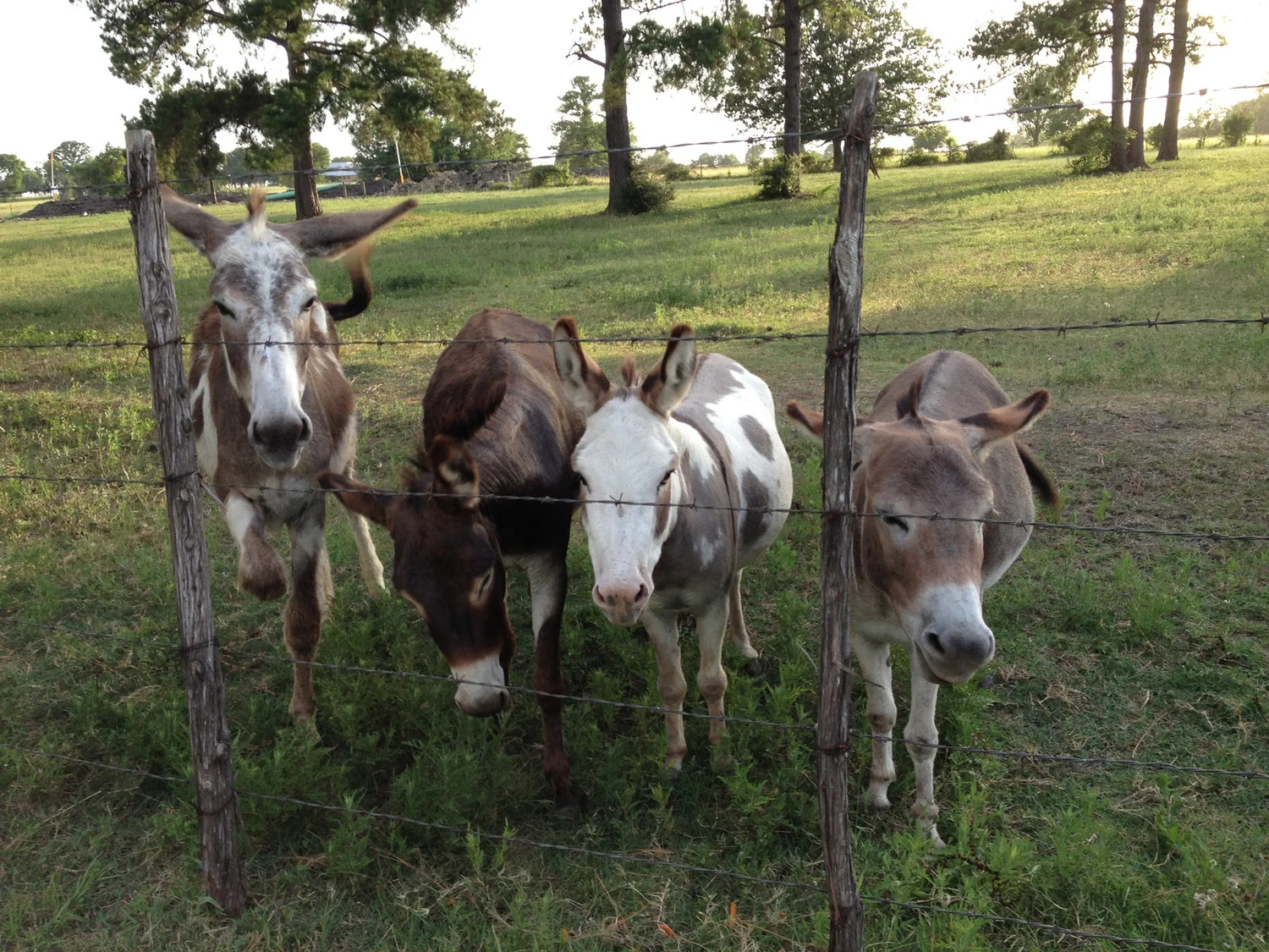 Private Peaceful SetUp for Part-Time Ranch Help