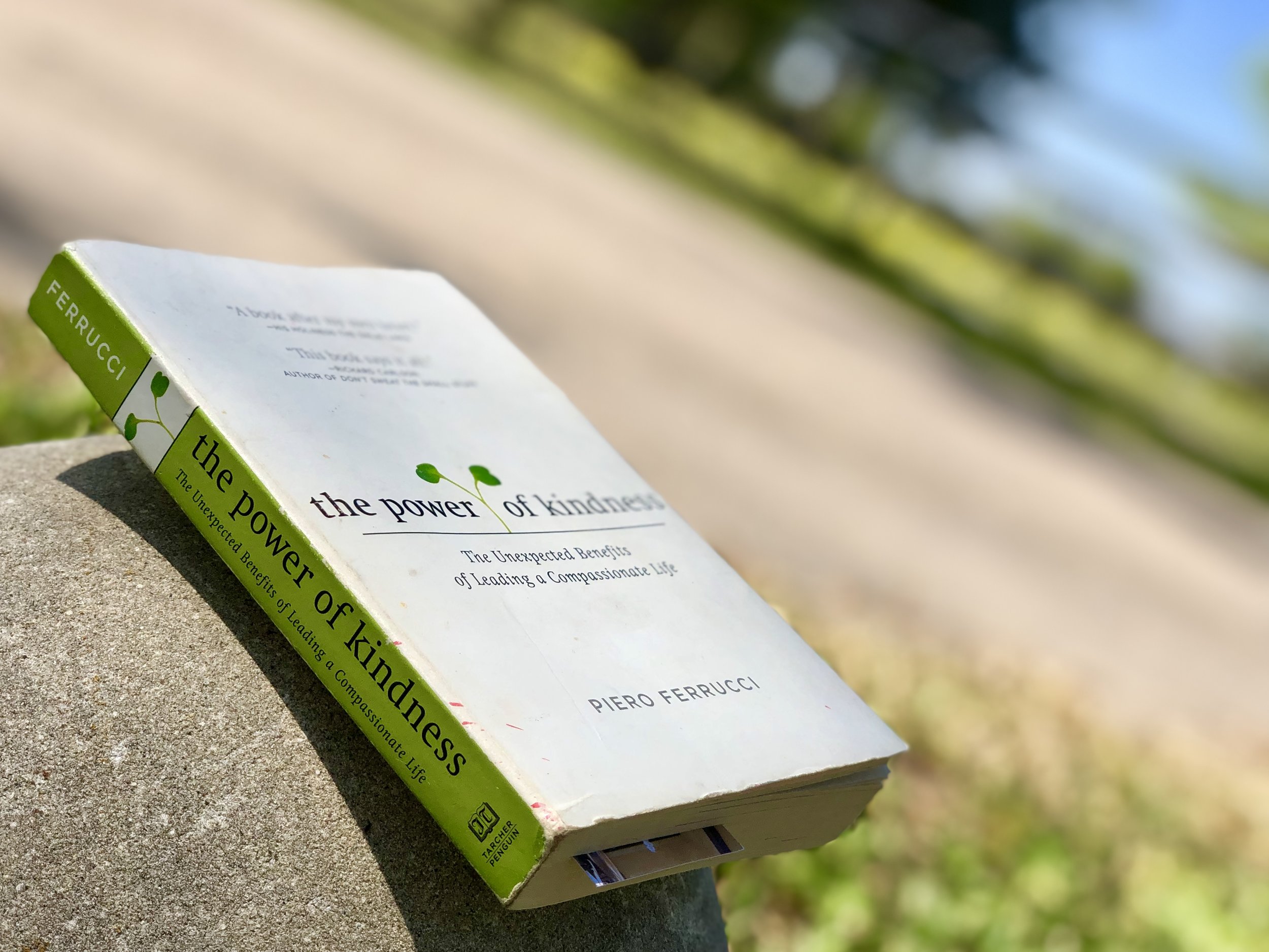 Helen drew from the Power of Kindness for morning meditations