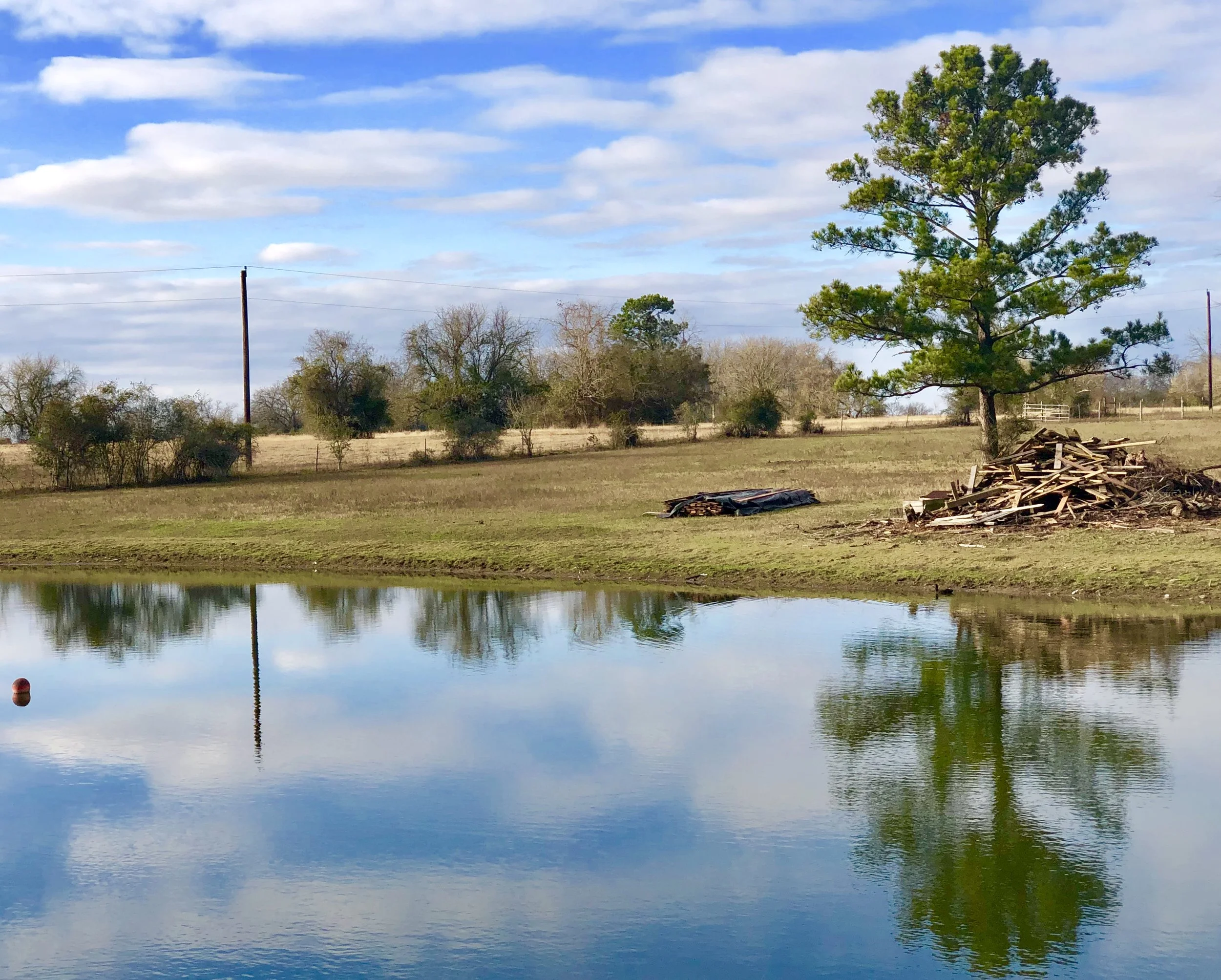 Welcome Nia White Belts