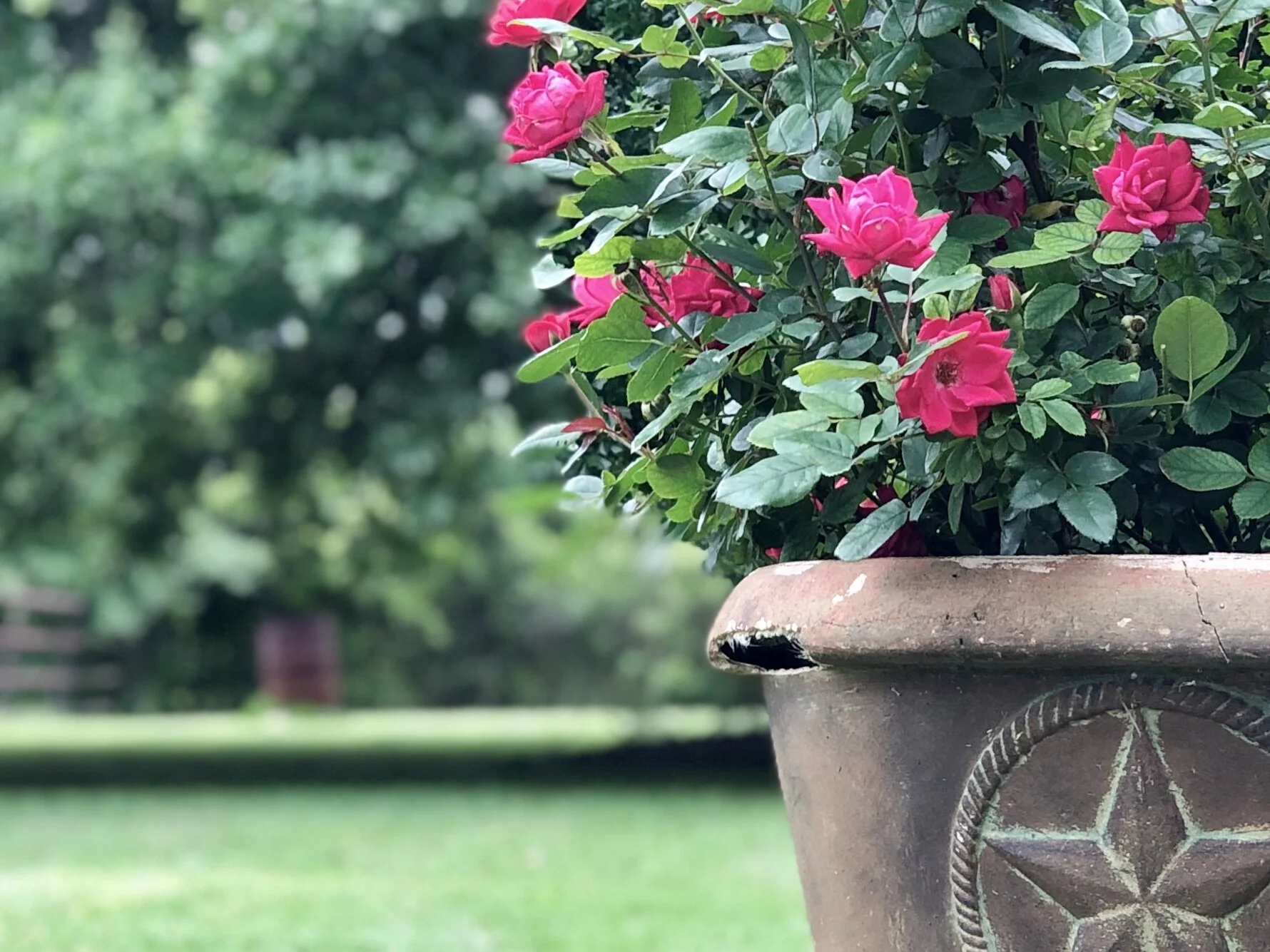 Wish You Were Here NOT