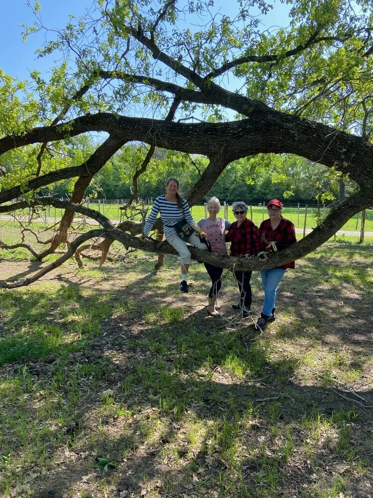 Semi Annual Soma Sweetness Retreat